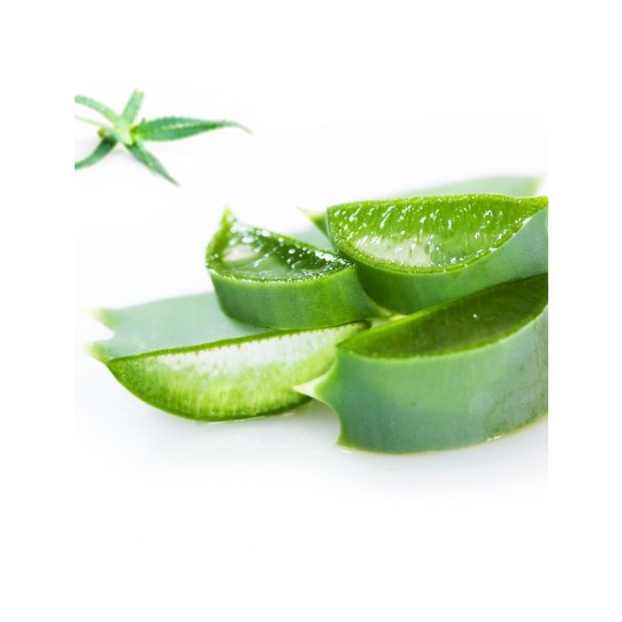 aloe vera trink gel oder saft Aloe Vera Gold Bio Trinkgel PLUS main image 1