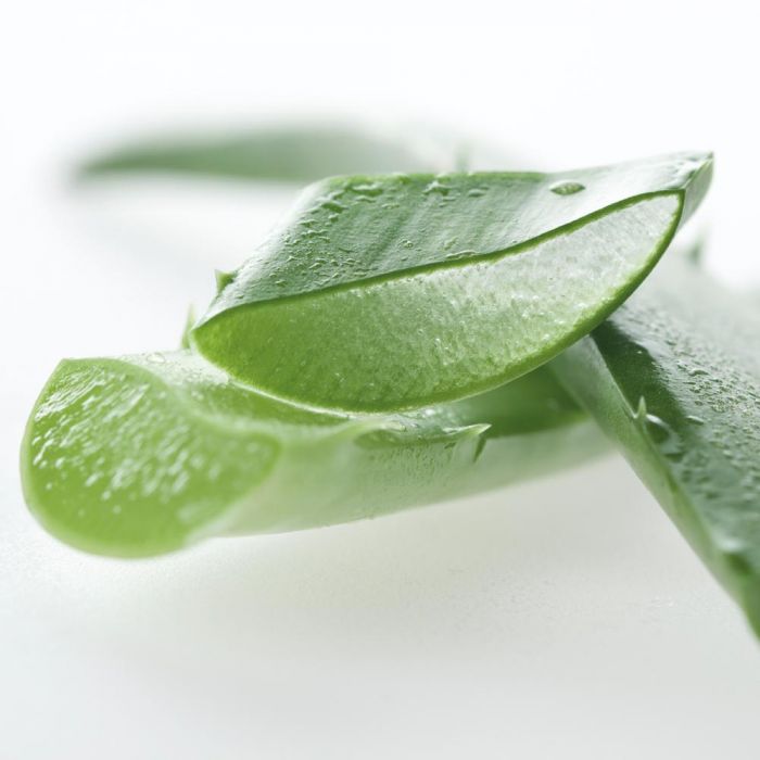 Aloe Vera Gel, 100 ml kaufen