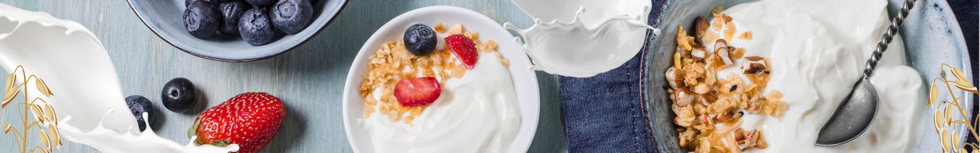 Joghurt selbermachen