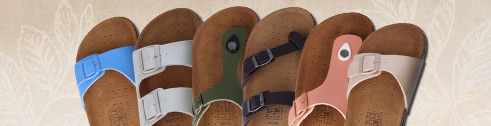 Zimt__bersichten_1 Zimt__bersichten_1