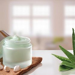 iStock_000078404091_Full_Cremetopf_Aloe iStock_000078404091_Full_Cremetopf_Aloe